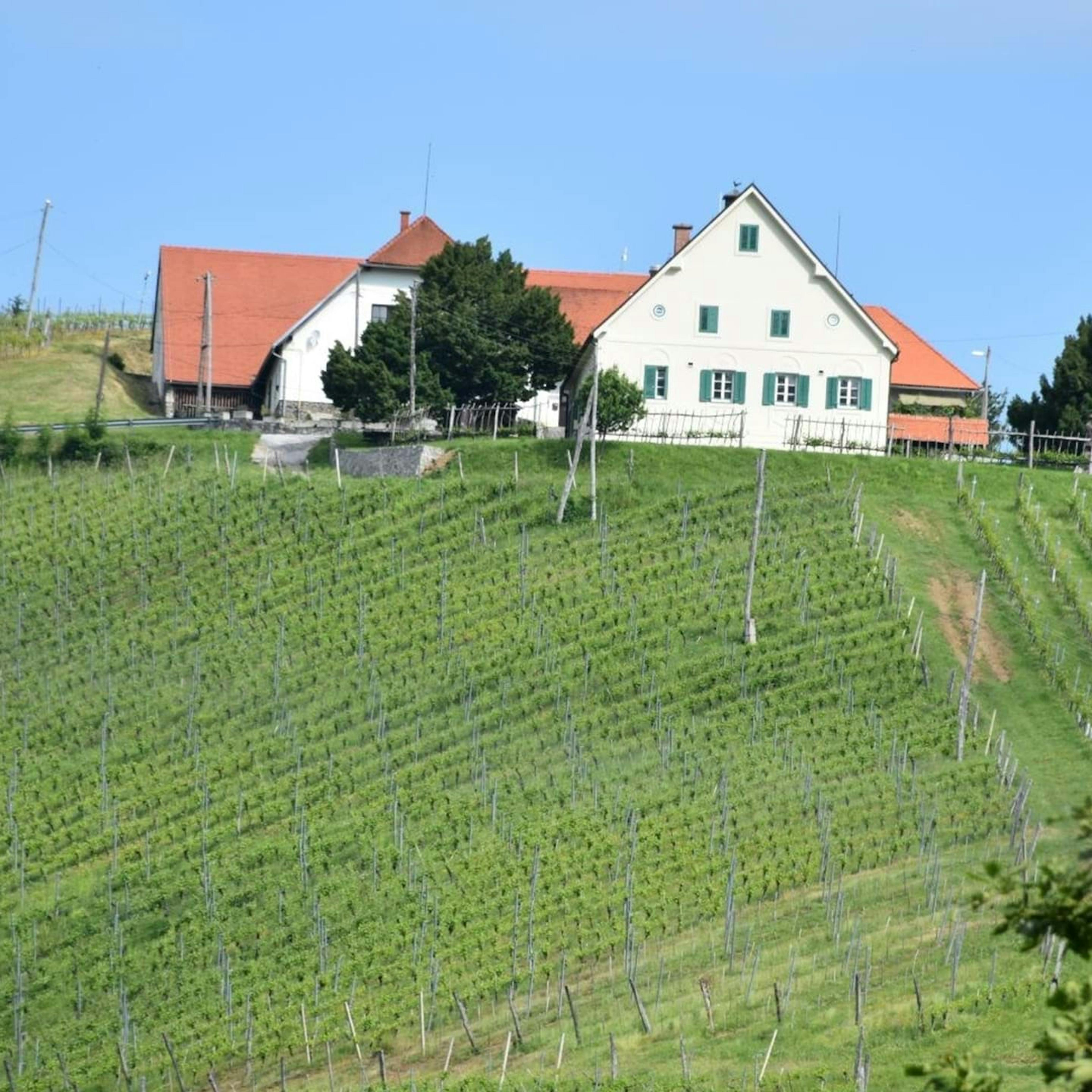 Meranovo